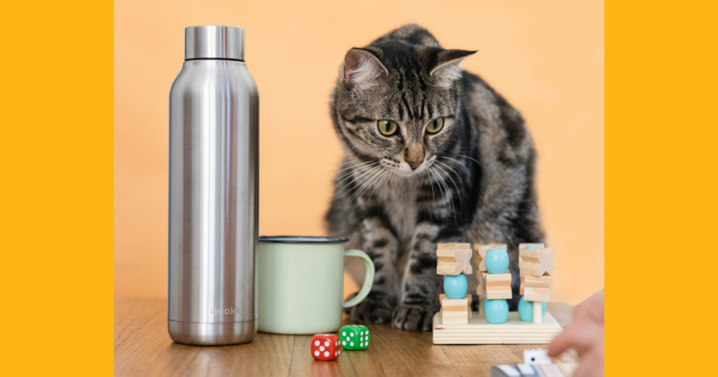 マイクロプラスチック